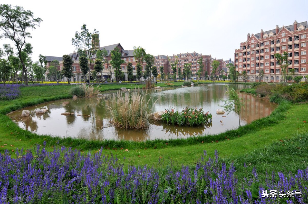 我的校园片段作文,我的校园五年级优秀作文