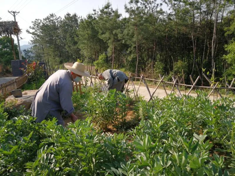 抢抓农时开展农业生产,农民纷纷抢抓春耕生产有利时机
