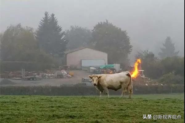 神奇的视觉错位图30张,神奇的错位照片