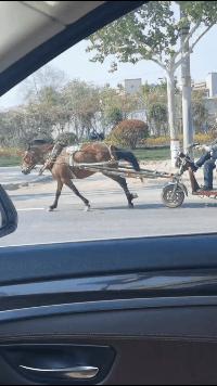把中间的门店租下来取什么名字好,租下门面不知道取什么名字