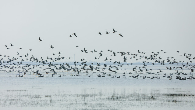 江西城市好吗,江西城市发展视频
