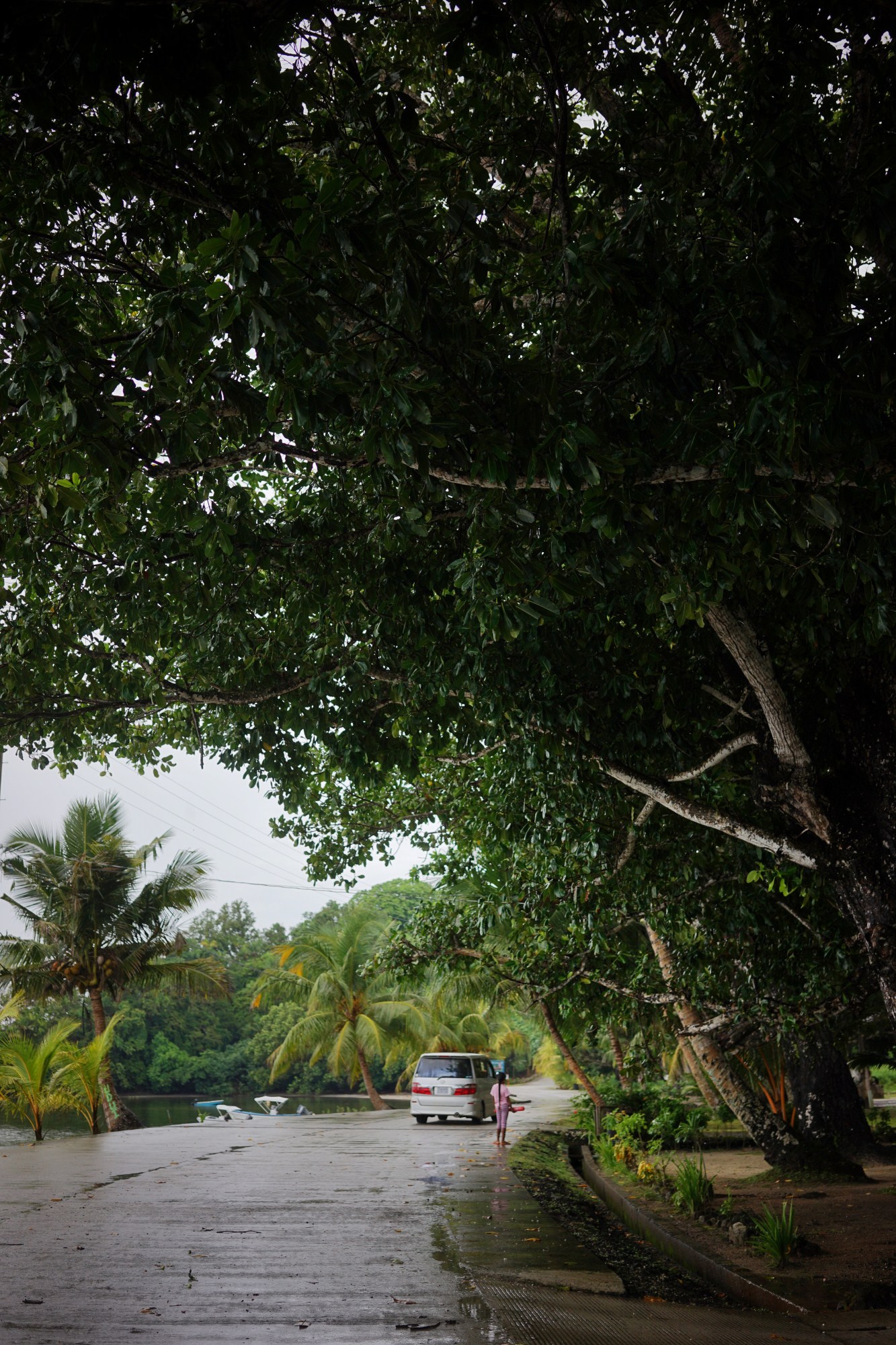 一定是特别的缘分——帕劳,再遇见「周若雪Patty」·上