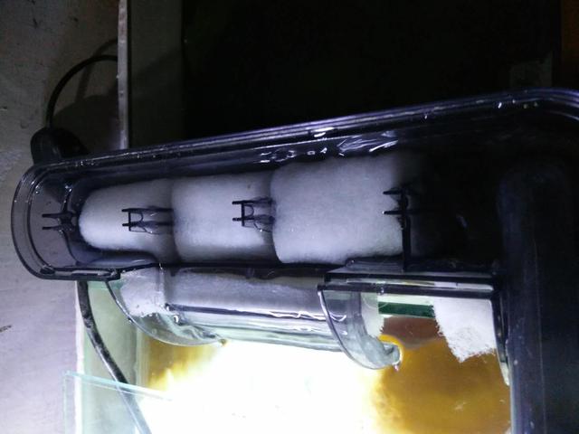 细菌屋是滴流好还是泡水里好,细菌屋是泡在水里好还是滴流好