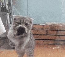 刘德华演唱会失声痛哭完整版后续,刘德华2018演唱会哭片段