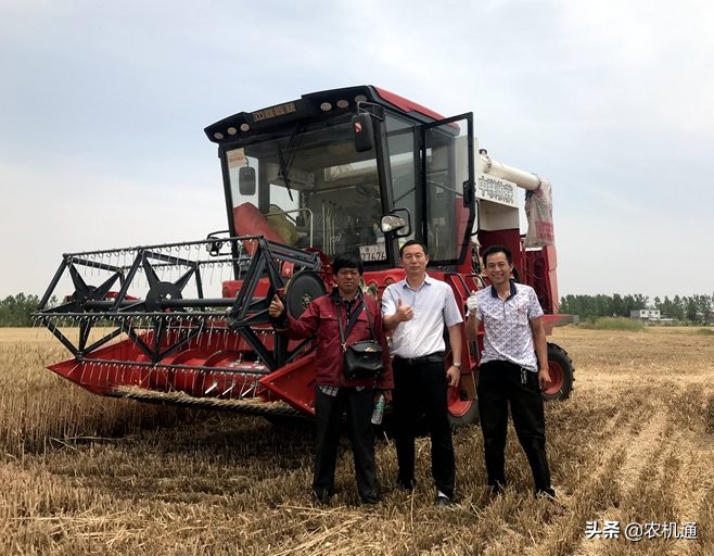 新疆8号小麦收割机,新疆8号小麦收割机收割视频