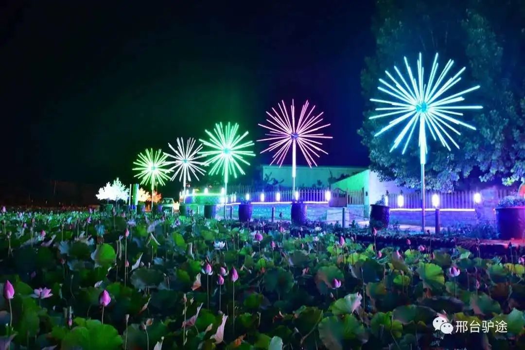 快！信都区准备好了，来嗨~