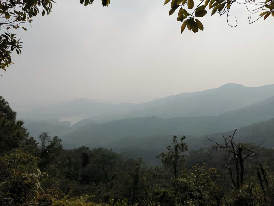 厦门市天竺山一日游,厦门天竺山攻略