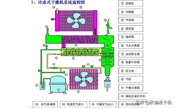冷冻式干燥机工作原理,冷冻式干燥机原理