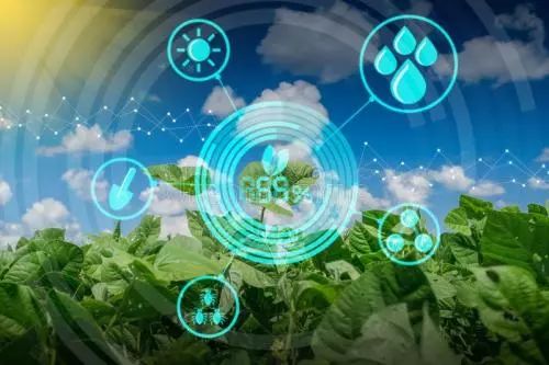 国外有机绿色循环农业,有机农业的弊端