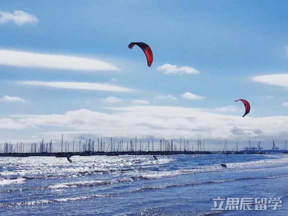 有哪些明星在澳洲留学,有哪些明星是澳洲留学的