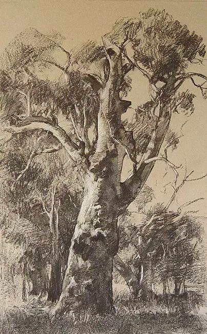 这些绝美的摄影每一张都值得珍藏,40张经典素描风景图快来临摹吧