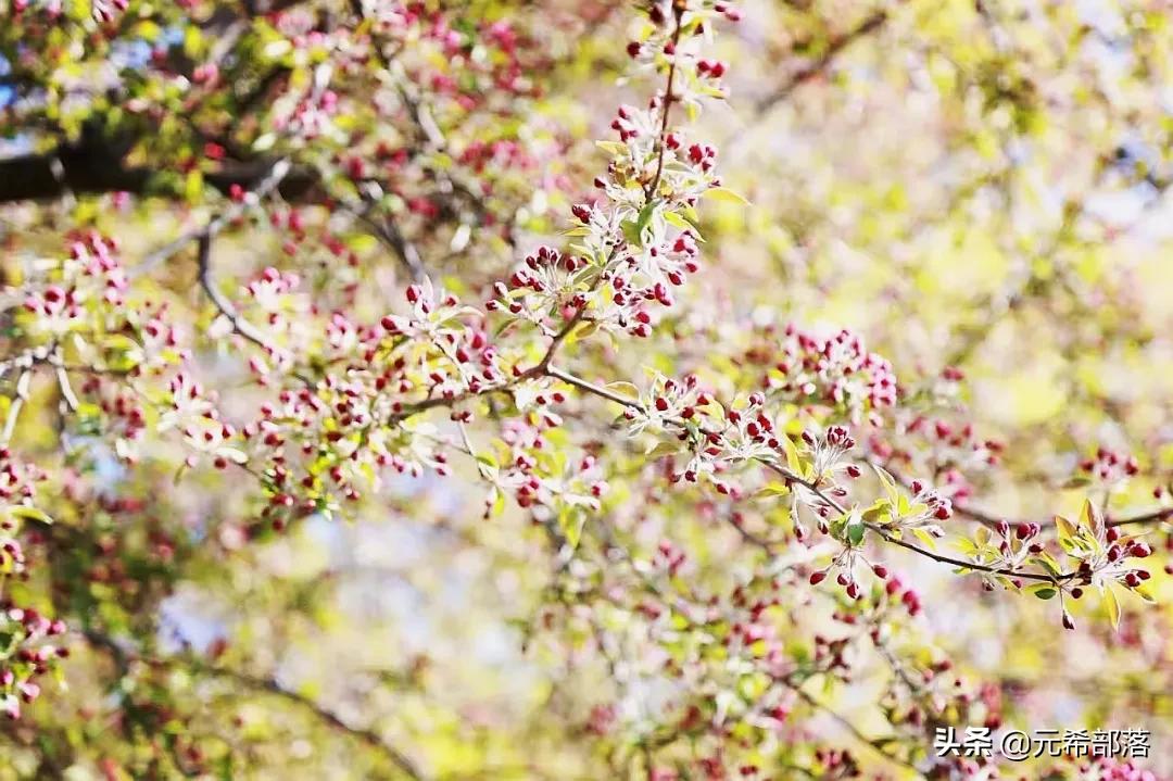 芝加哥周边小城旅游攻略,芝加哥旅游路线地图