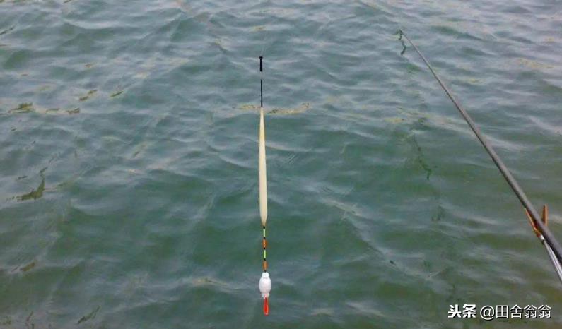 怎么改进浮漂才可以看清漂相,浮漂没动作提竿却中鱼如何调整