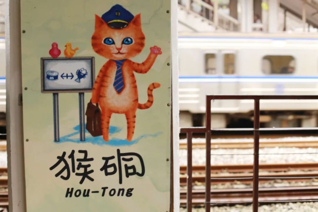 告别流浪猫展览再现12个吸猫圣地,最治愈的吸猫胜地