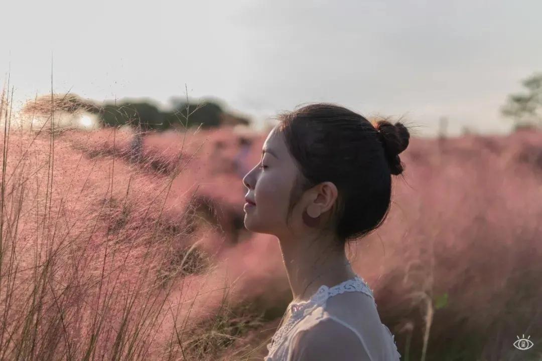 6号线都有什么景点,六号线能去的免费景点