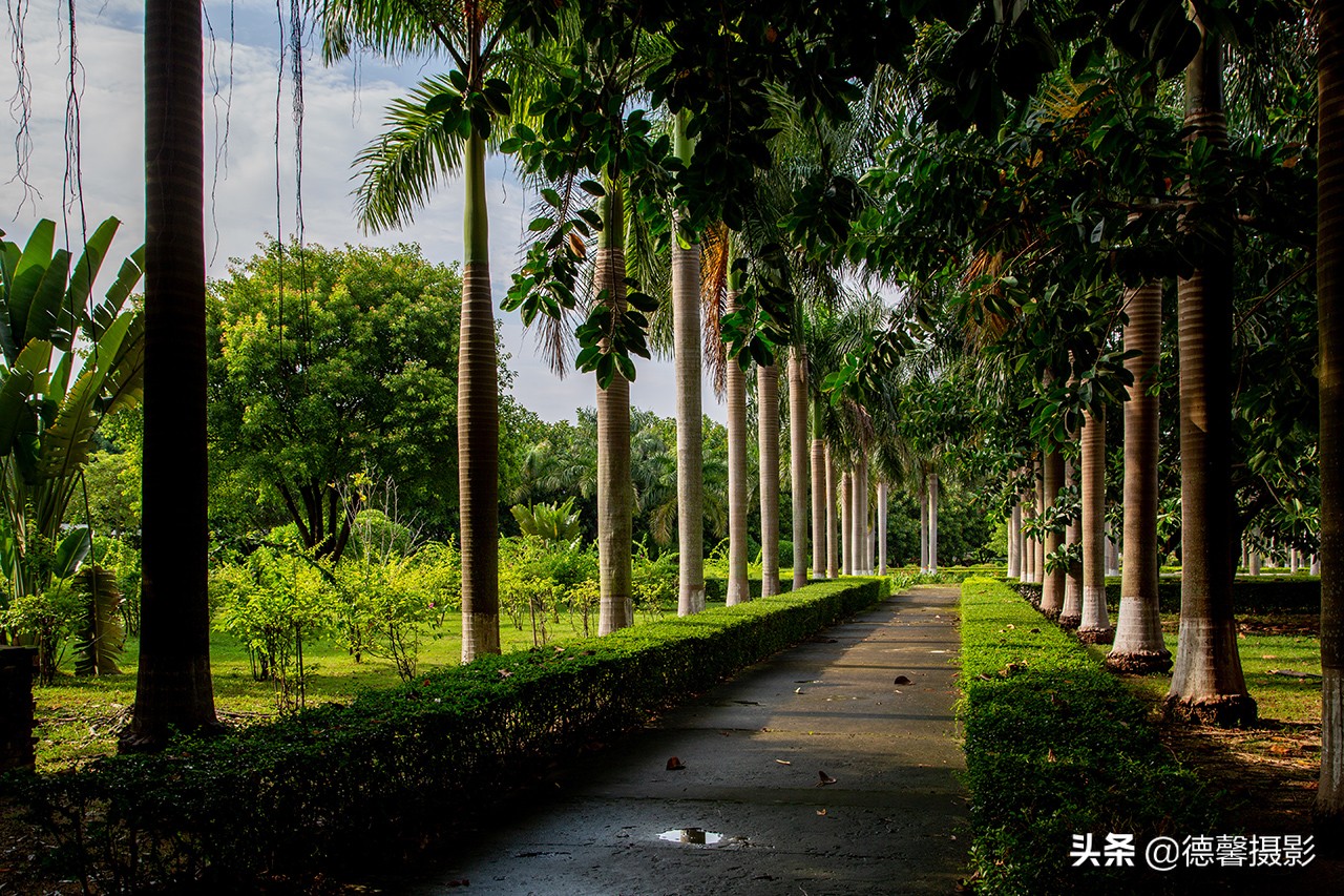 珠海梅溪牌坊游玩攻略,真实的梅溪牌坊