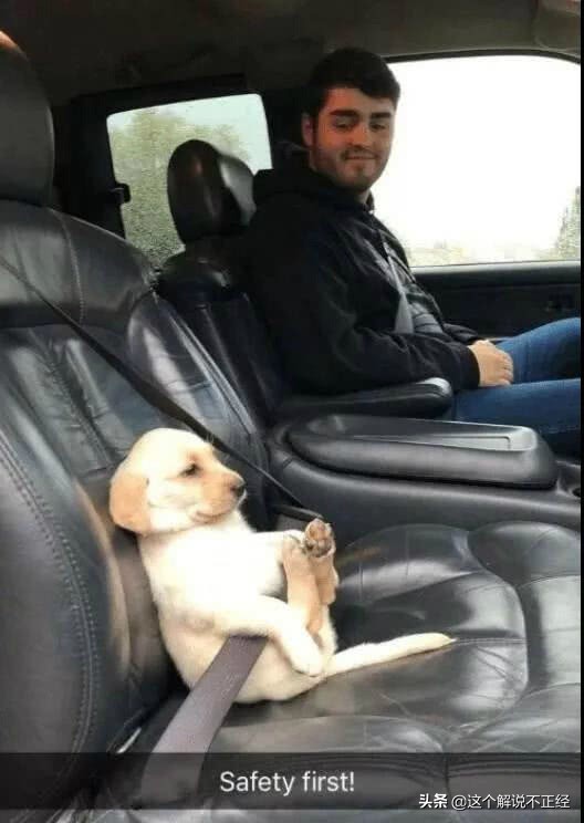 十句笑破肚子的笑话,超级搞笑的笑话笑破你的肚皮图片