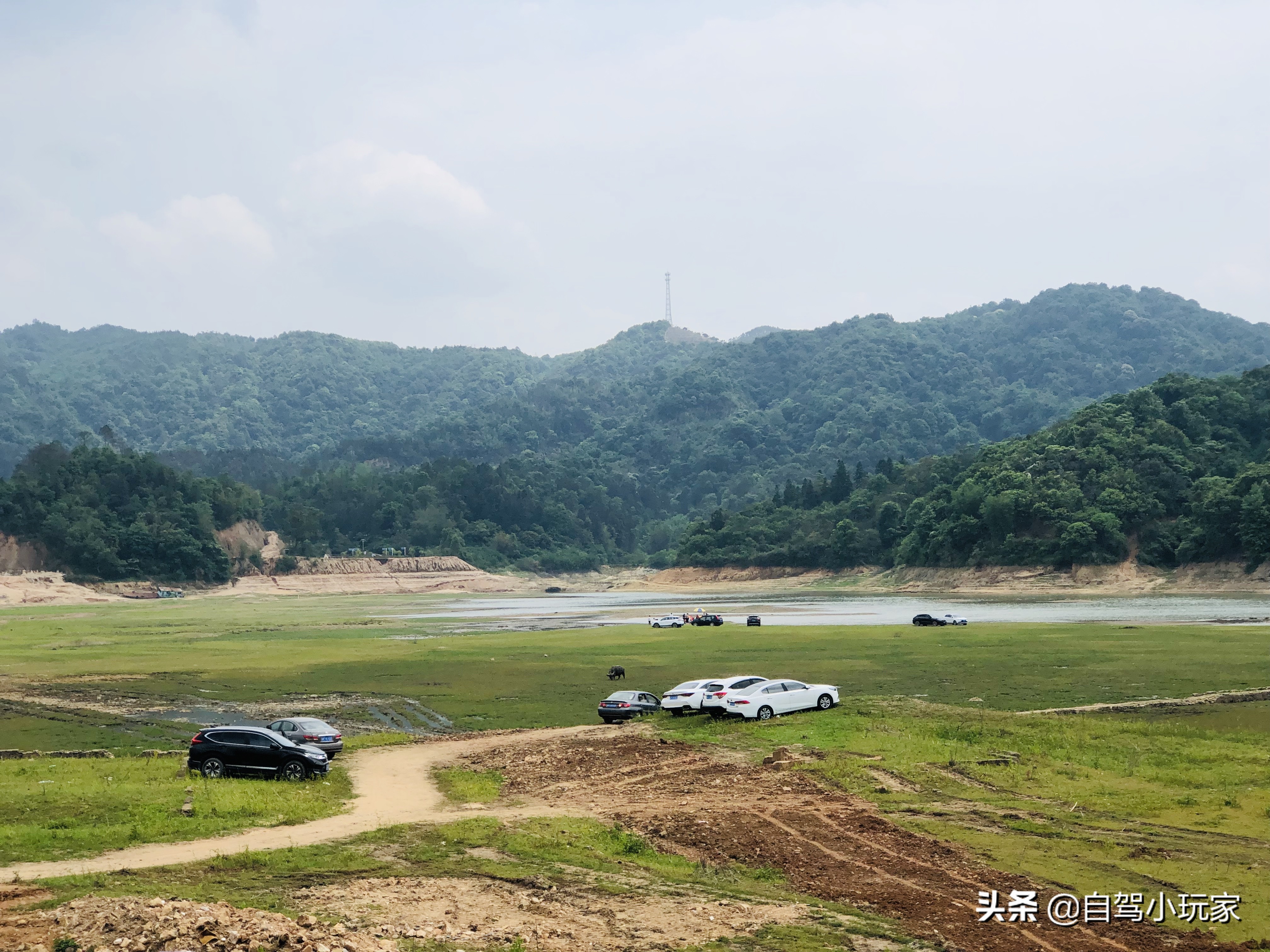 广东游万绿湖,广东河源万绿湖旅游攻略