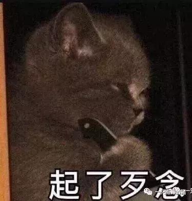 日本网红眼药水禁售原因,日本被禁售的眼药水