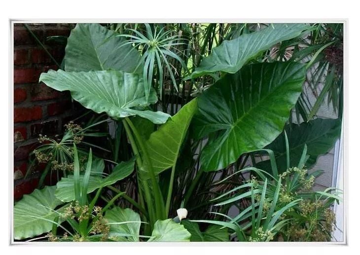 吃下去的东西,吃下去的东西不好消化