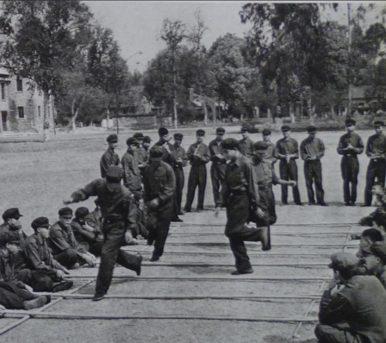 对越自卫反击战越军对付我军俘虏,对越反击战怎样对付越军