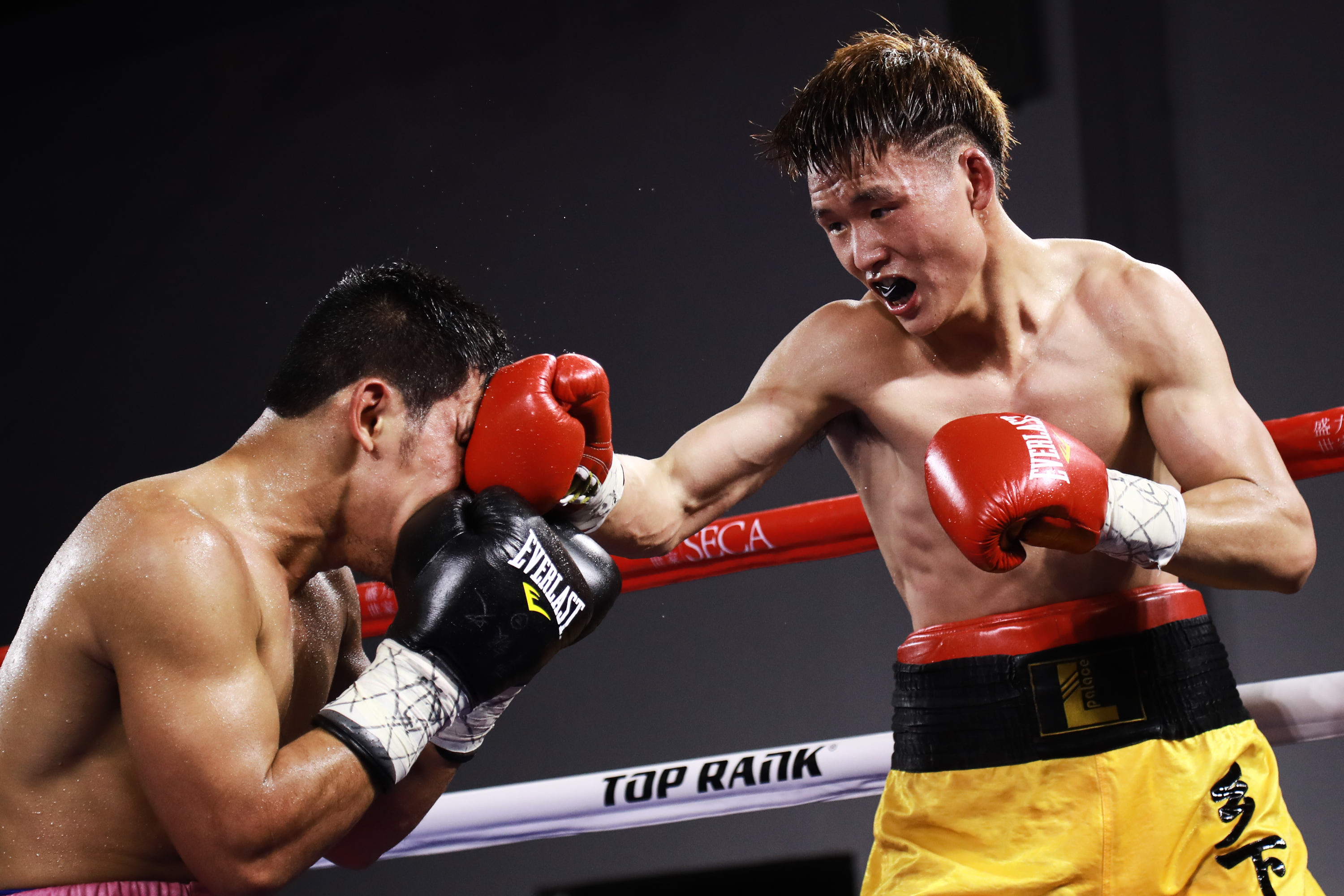 中国台北小将最新视频,中国台北小将