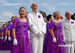 赏菊和饮菊花酒,赏菊花重阳节
