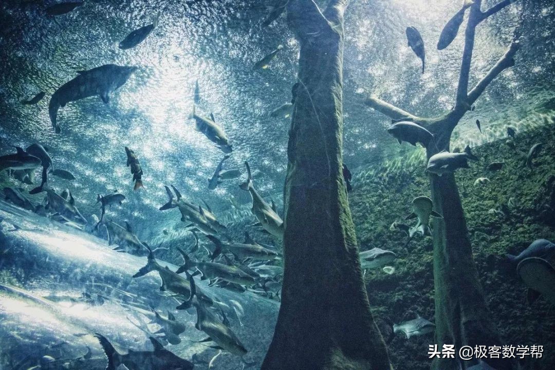 成都景区地图,成都各大景点详细攻略图片