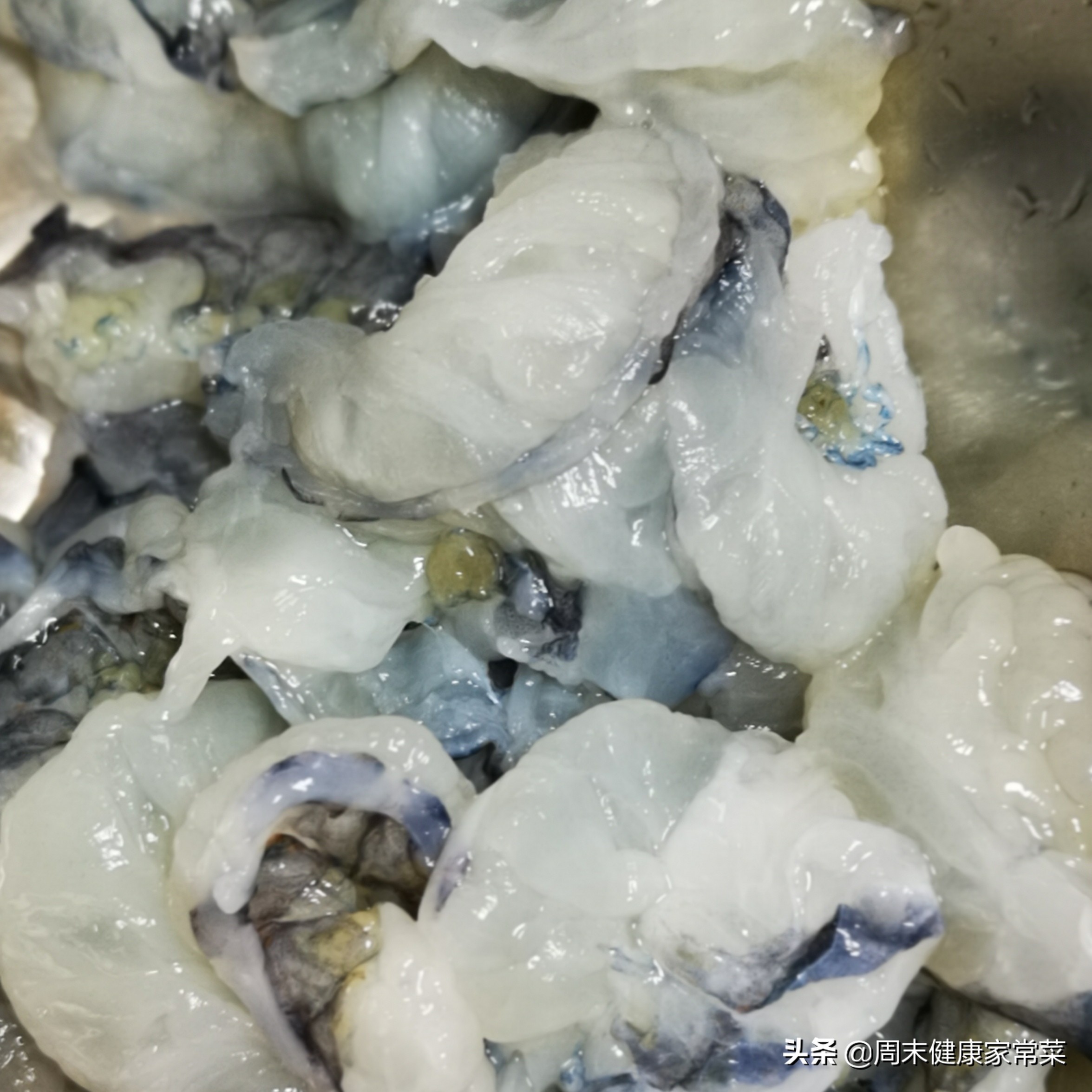 海虾买回来放多久不死,海虾活的怎么处理