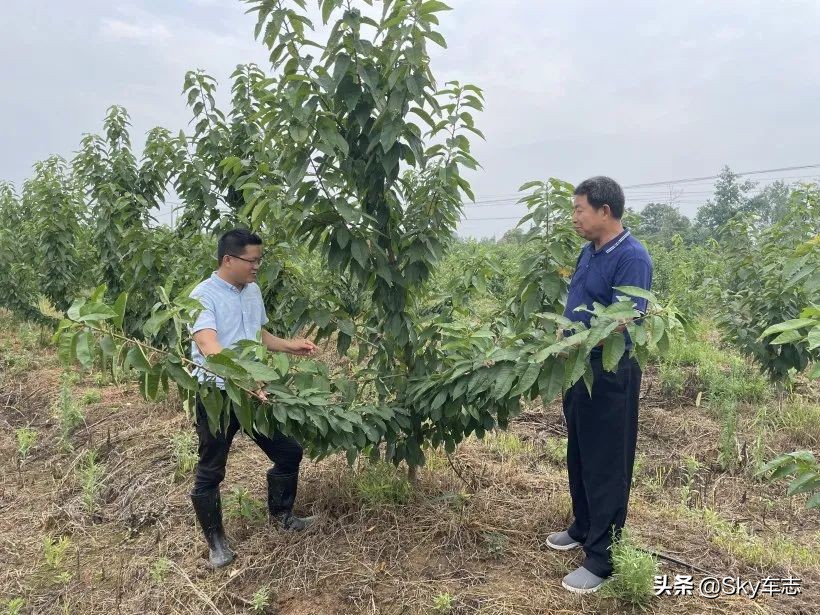 7万公里老款宝马x5,宝马x5的优缺点