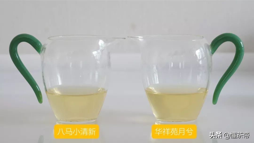 八马蓝罐清香铁观音测评,华祥苑铁观音对比八马茶业