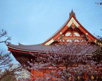 旅行社不给办理日本签证,旅行社不会告诉你的秘密