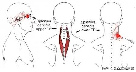26张图教你提高效率,30张治愈效果图