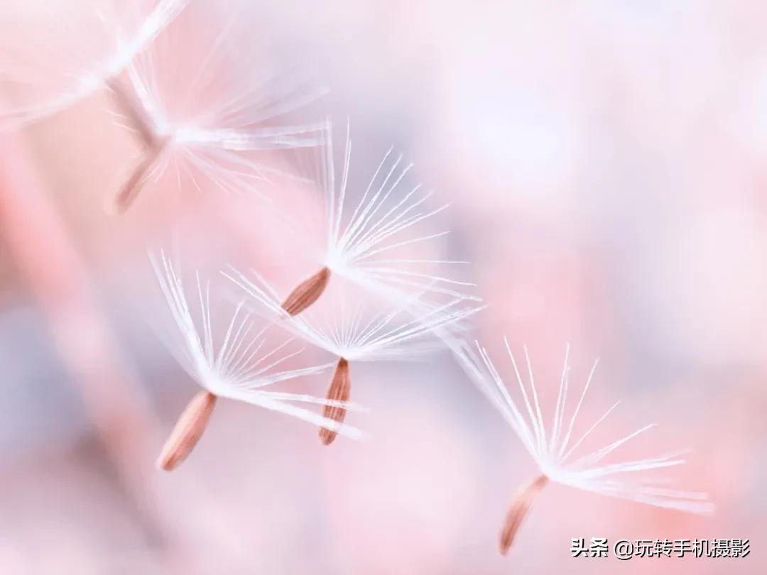 起风了拍照,起风了场景写真拍照