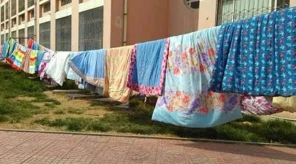 晒被子要拍一下吗,晒被子要翻动吗