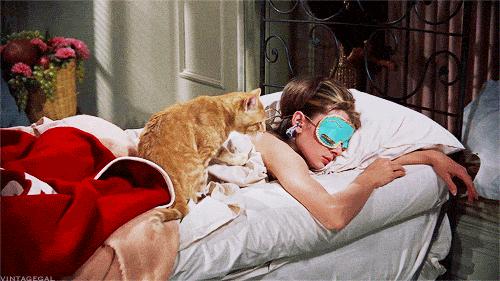 懒人变美神器,抖音最火的懒人变美神器