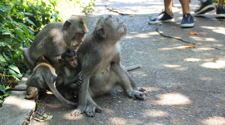 巴厘岛海神庙是哪个宗教,巴厘岛海神庙景点在哪里