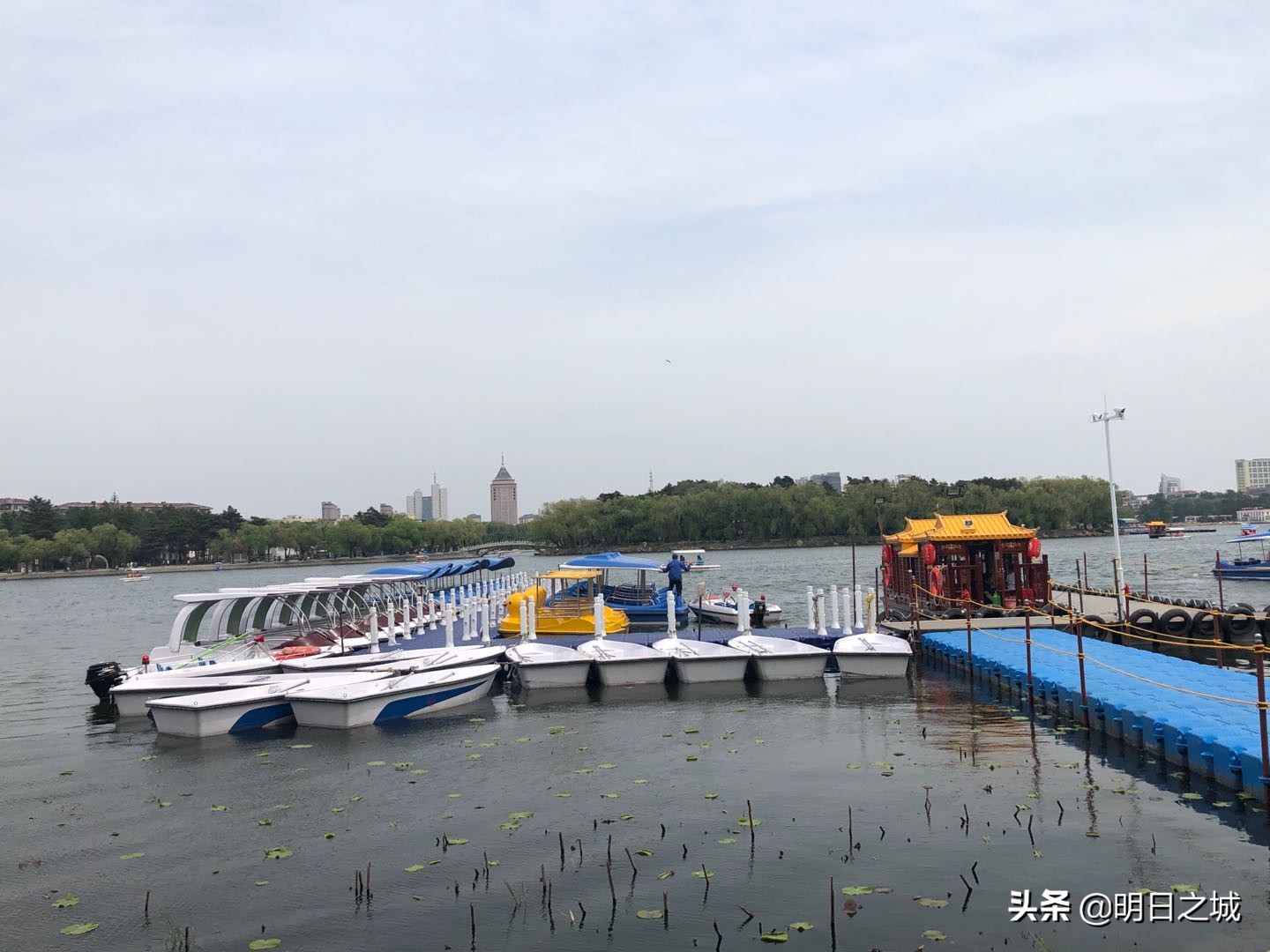 南湖游船游玩,南湖公园素颜图片