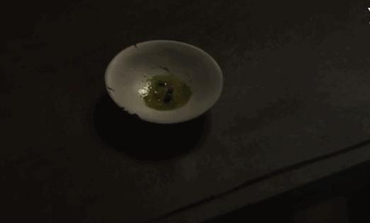 美国惊悚短片巨婴奶嘴,讽刺动画短片巨婴是国产动画吗