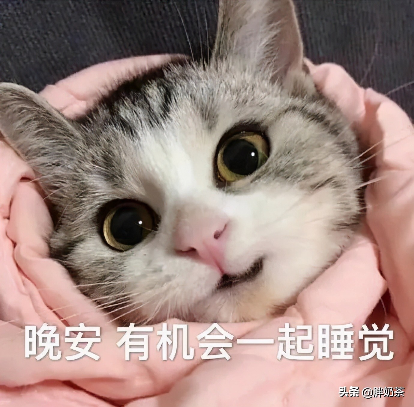 盘点哪些奇葩受伤经历,奇葩受伤