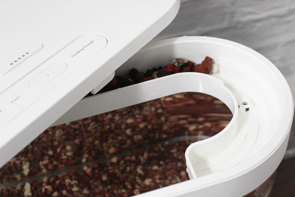 养鱼日记森森鱼缸,水族箱造景养鱼日记