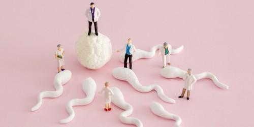 女人不需要男人可以生孩子吗,女人不需要男人可以怀上孩子吗