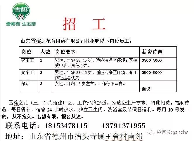 国庆人才需求,国庆人才推介2019