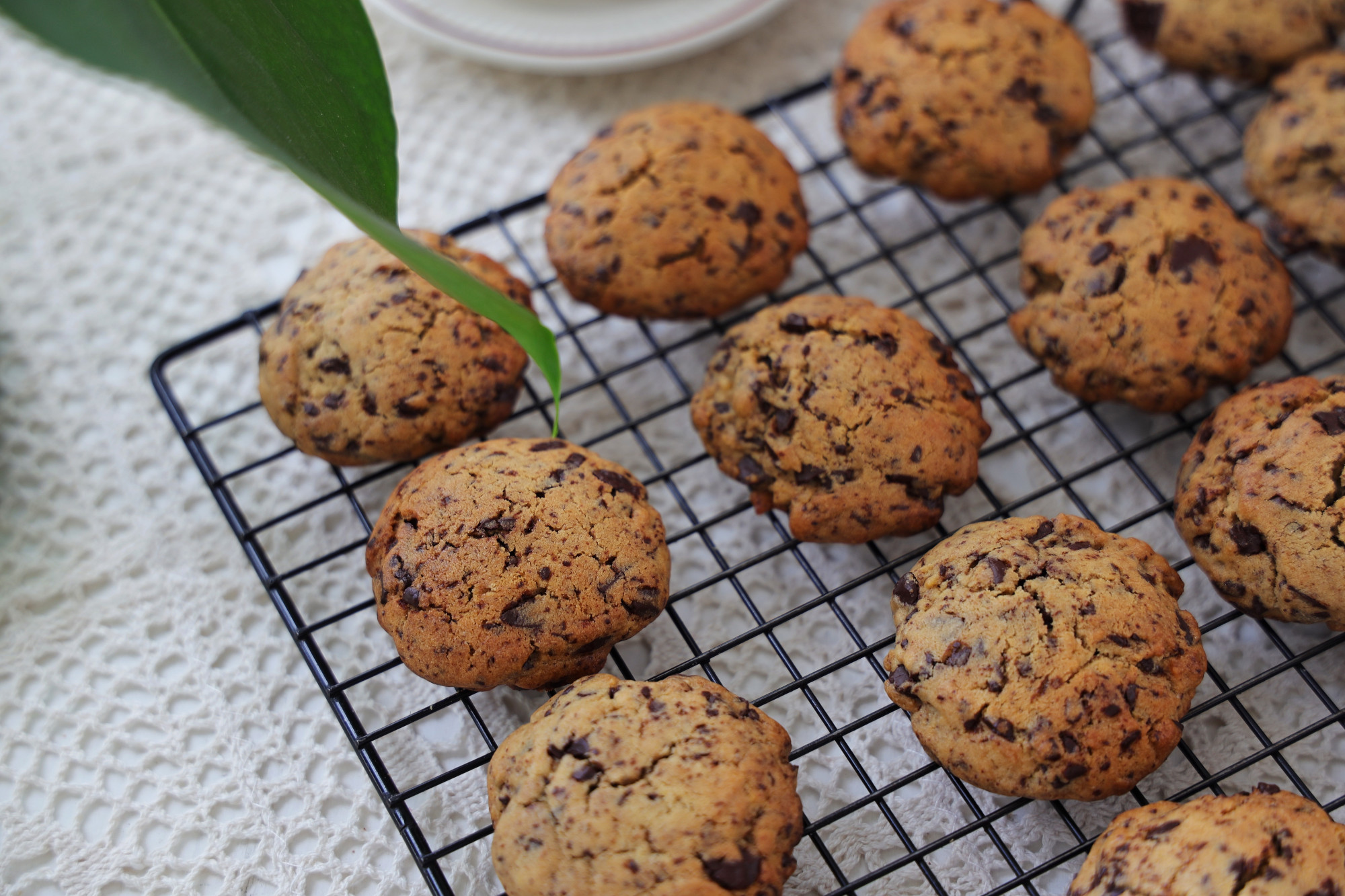 星巴克巧克力曲奇做法,星巴克1元榛果拿铁