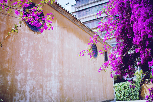 昆明轿子雪山自驾一日游攻略,昆明周边一日游自驾游路线推荐