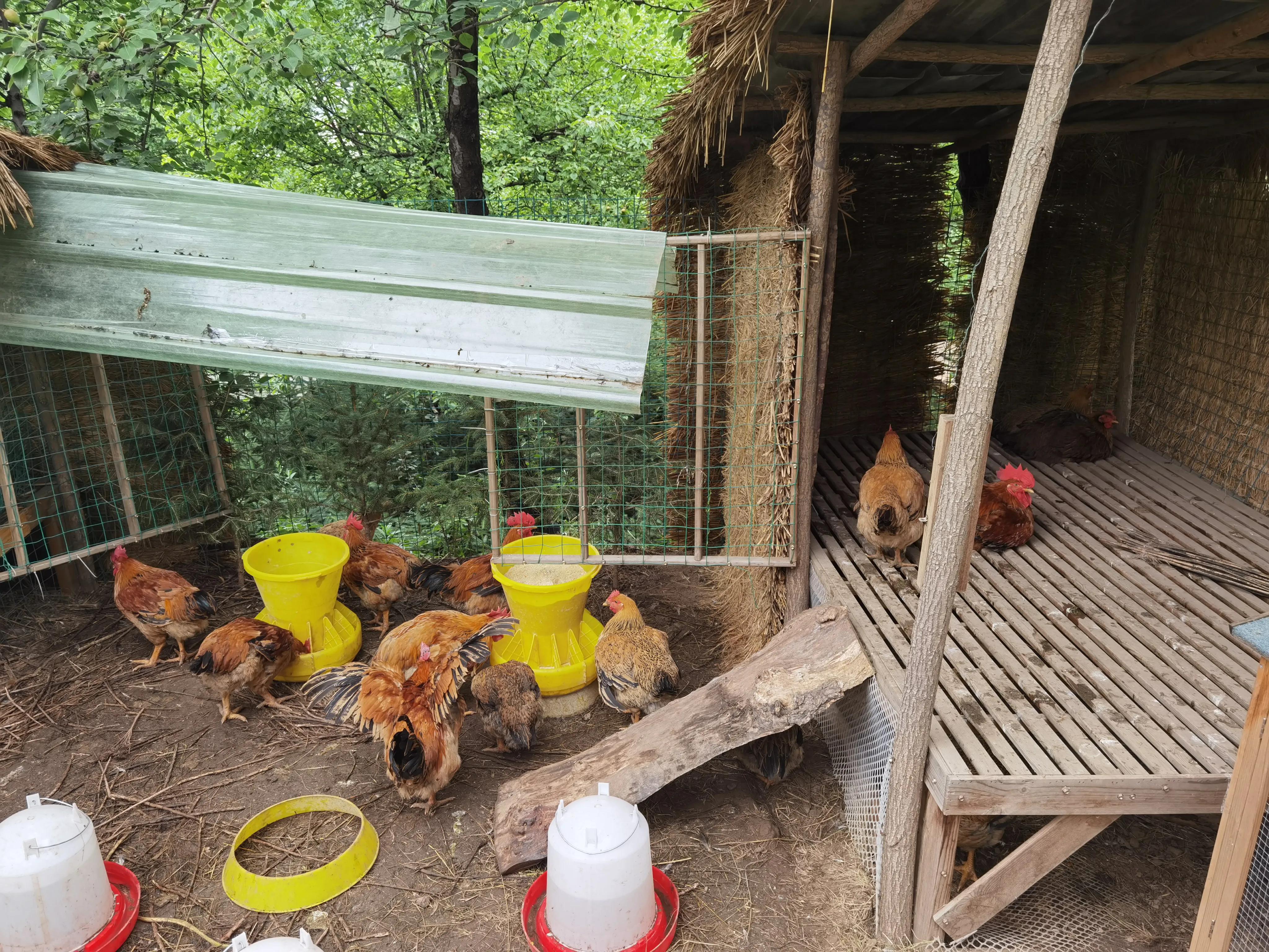 讲好家乡故事助力乡村振兴,讲好乡村振兴故事由哪个部门负责