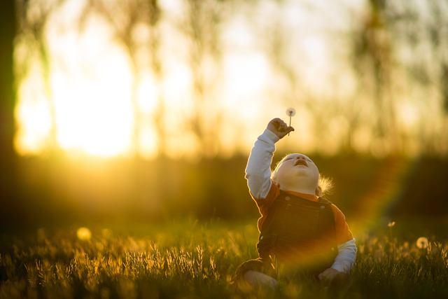 水果商贩,水果摊贩为什么不选椰子卖