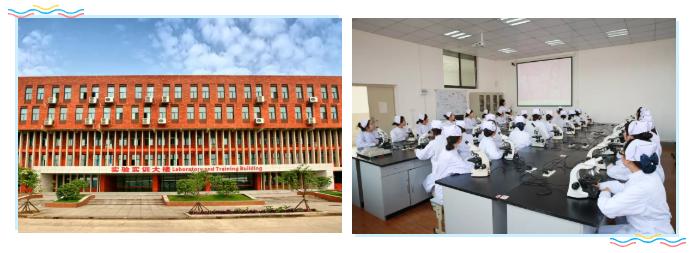 武汉外语外事职业学院毕业,外语外贸职业学院大一学妹