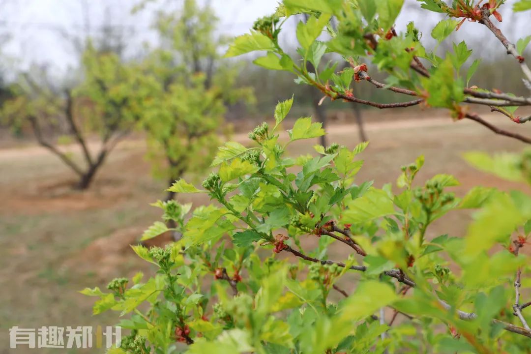 郑州周边人少清静有山有水的地方,郑州人少的公园适合野营