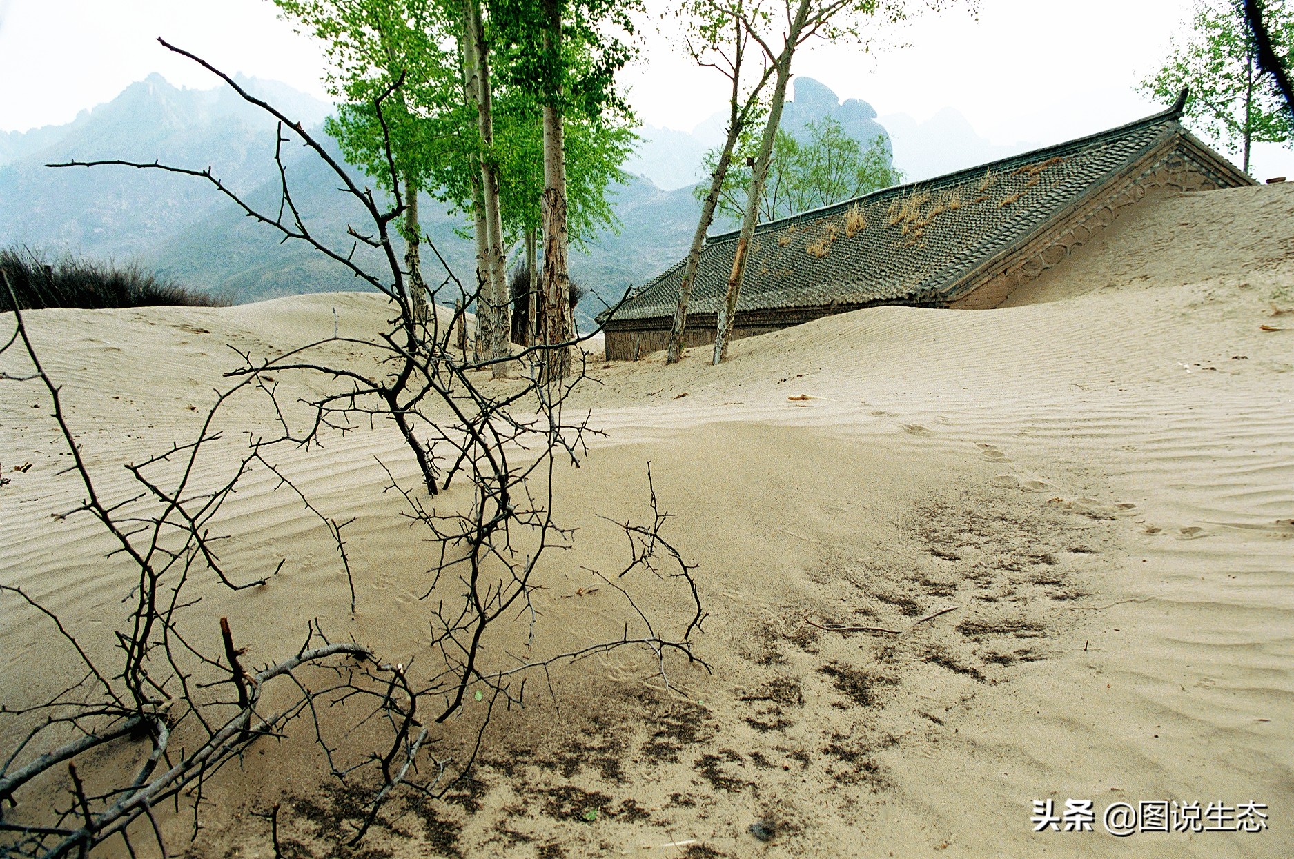 20年风雨治沙路，绿水青山秀丰宁